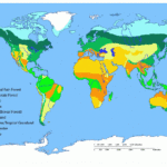 Biomes Of The World Ask A Biologist