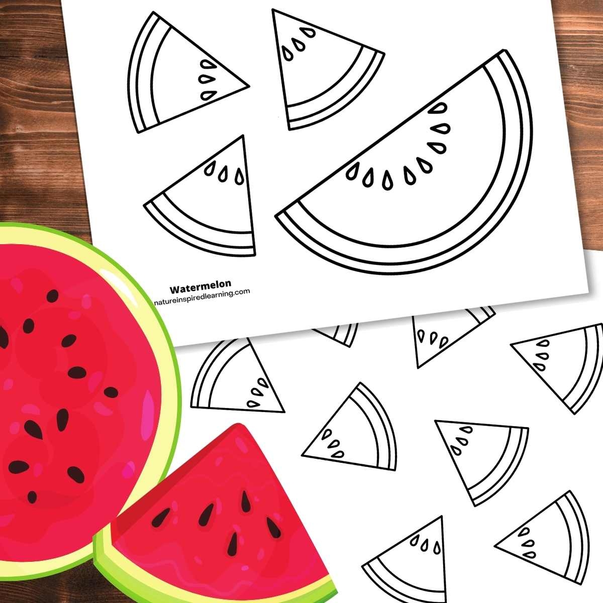 Watermelon Coloring Pages Nature Inspired Learning