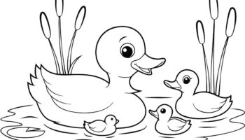20 Duck Coloring Pages Fun Duck Facts