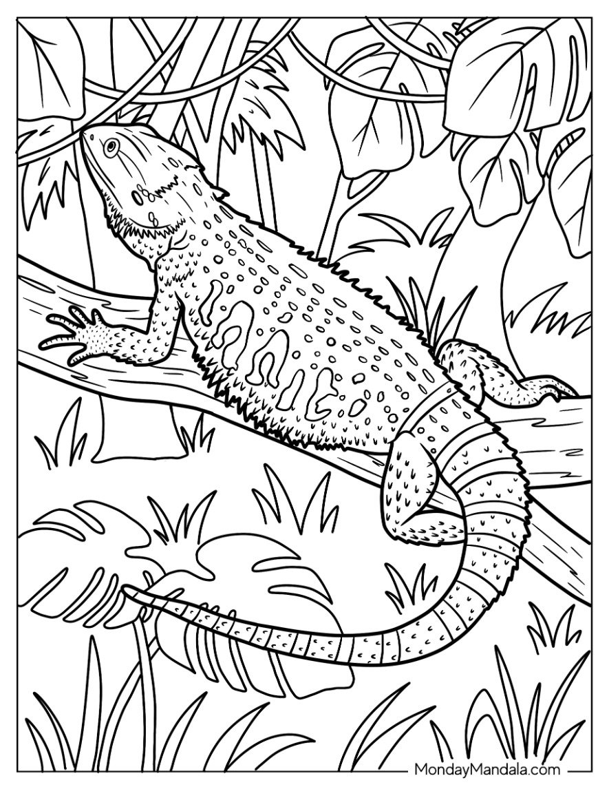 24 Lizard Coloring Pages Free PDF Printables  24 Lizard Coloring Pages Free PDF Printables