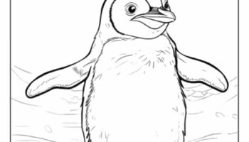 40 Penguin Coloring Pages Smooth Draw