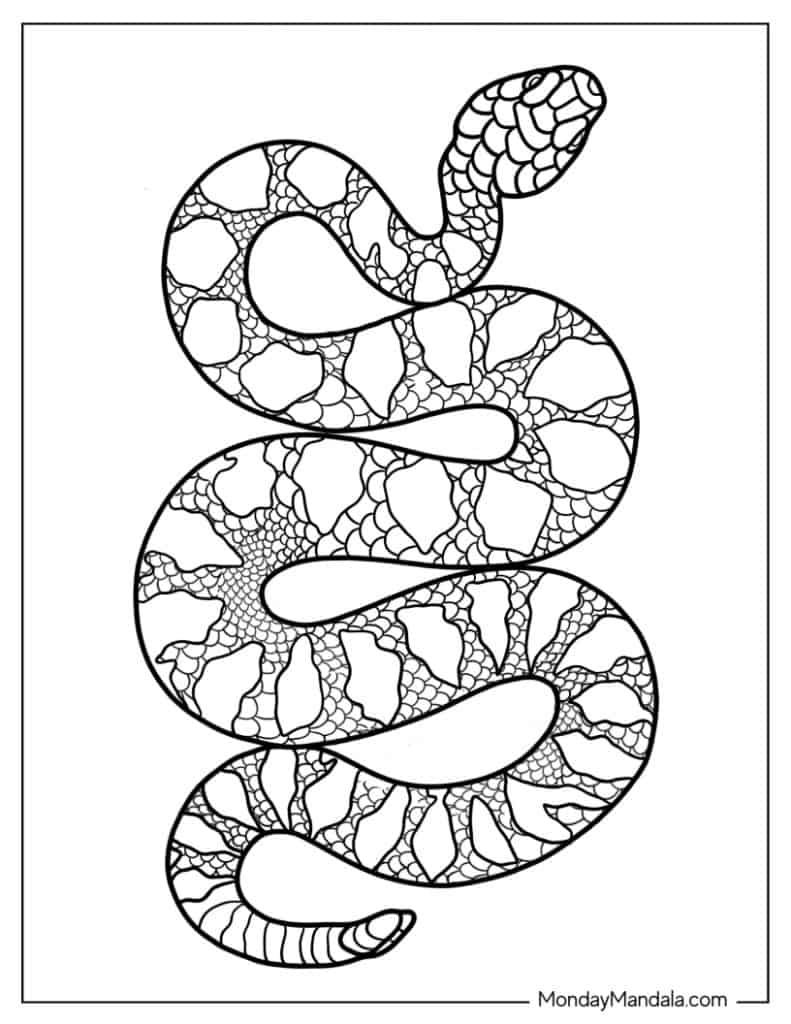 40 Snake Coloring Pages Free PDF Printables  40 Snake Coloring Pages Free PDF Printables