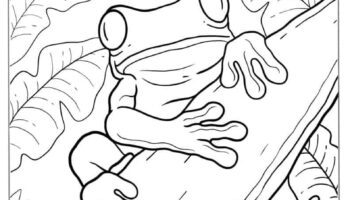 47 Frog Coloring Pages Free PDF Printables