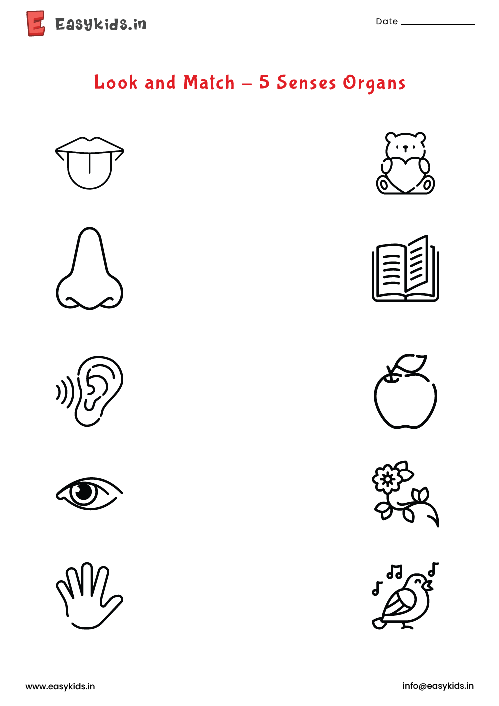 5 Senses Organs Look And Match Worksheet