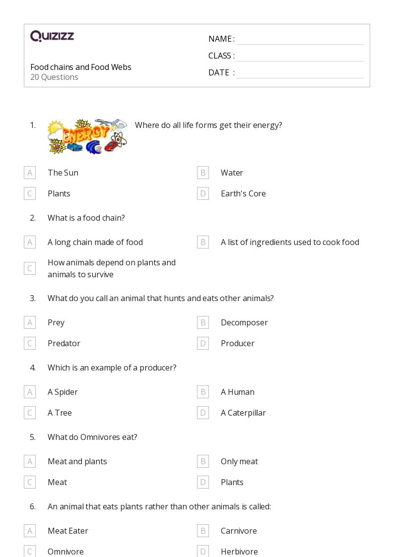 3rd class science worksheets