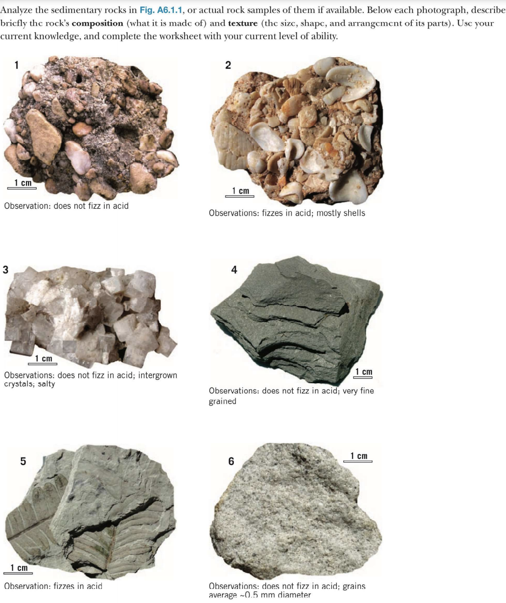 Answered Analyze The Sedimentary Rocks In Fig A6 1 1 Or Actual Rock Samples Of Them If Available Below Each Photograph Describe Bricfly The Rock s Composition what Bartleby