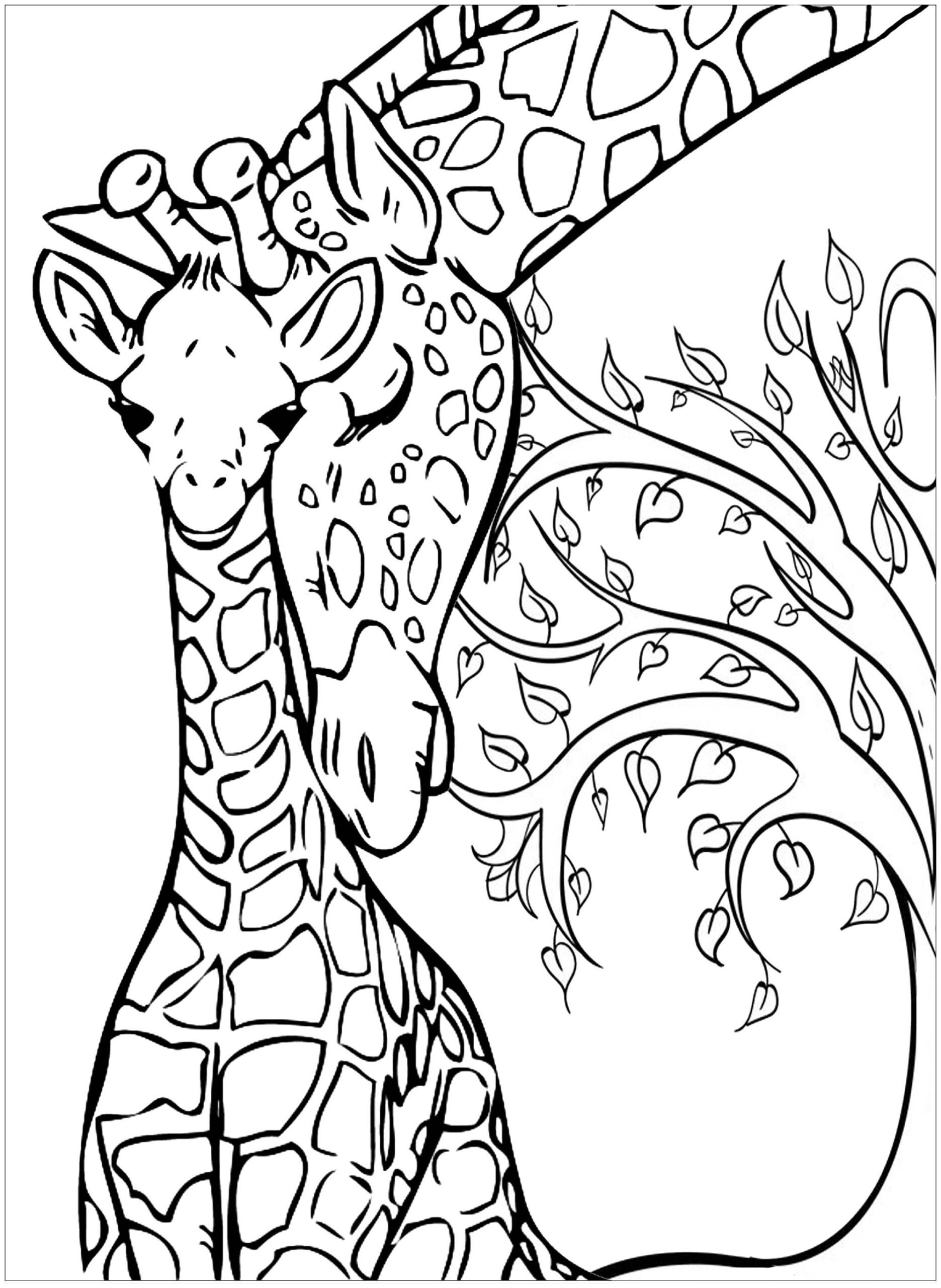 giraffe coloring pages