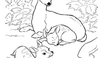 Backyard Animals And Nature Coloring Books Free Coloring Pages HubPages