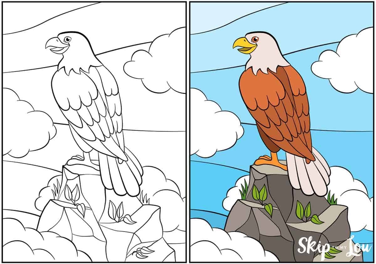 eagle coloring pages