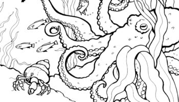 Coloring Pages Activities Monterey Bay Aquarium