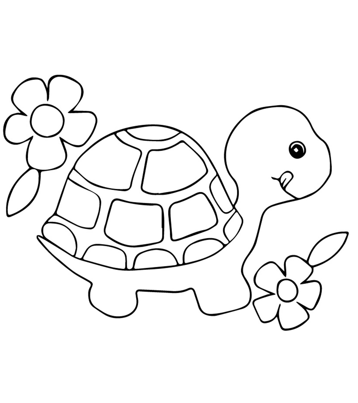 turtle coloring pages