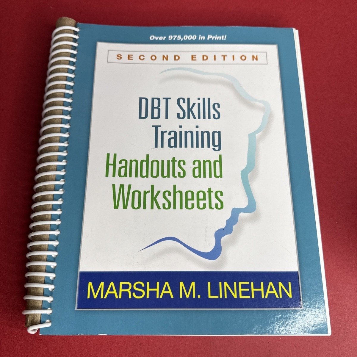 DBT Skills Training Handouts And Worksheets Linehan Marsha M Spiral Bound 9781572307810 EBay