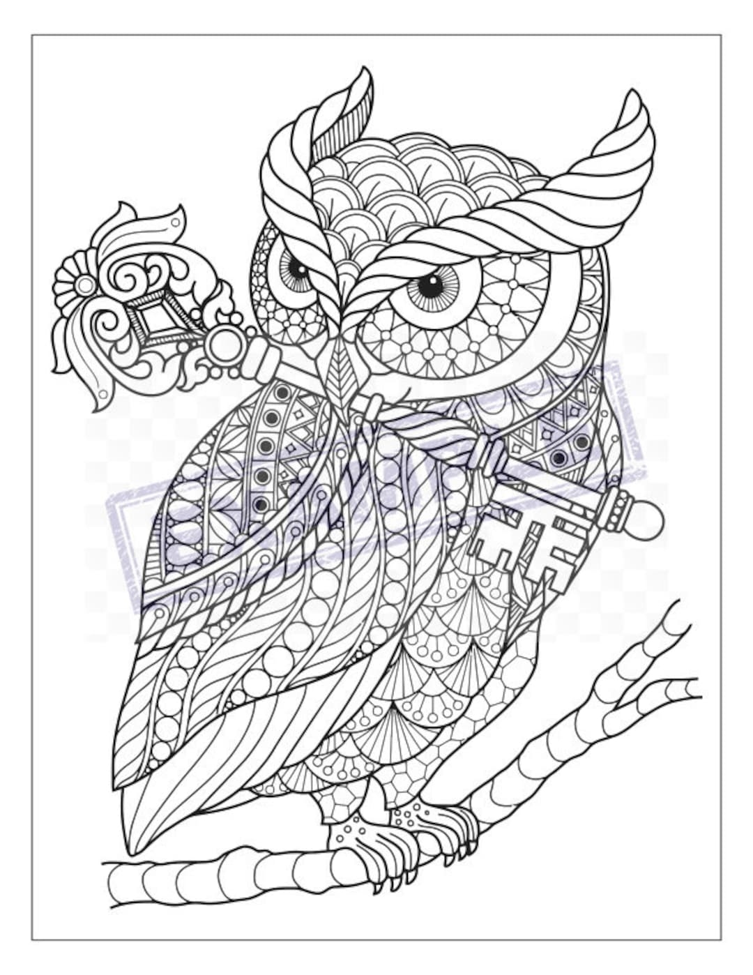 Detailed Owl Coloring Pages 21 Intricate Designs PDF Etsy