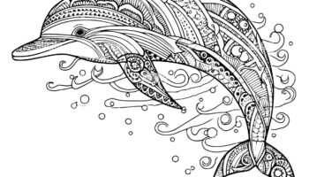 Easy Dolphin Coloring Pages Hi res Stock Photography And Images Alamy