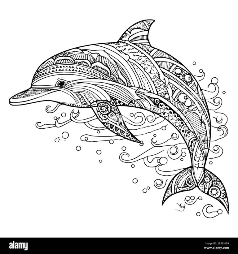 Easy Dolphin Coloring Pages Hi res Stock Photography And Images Alamy