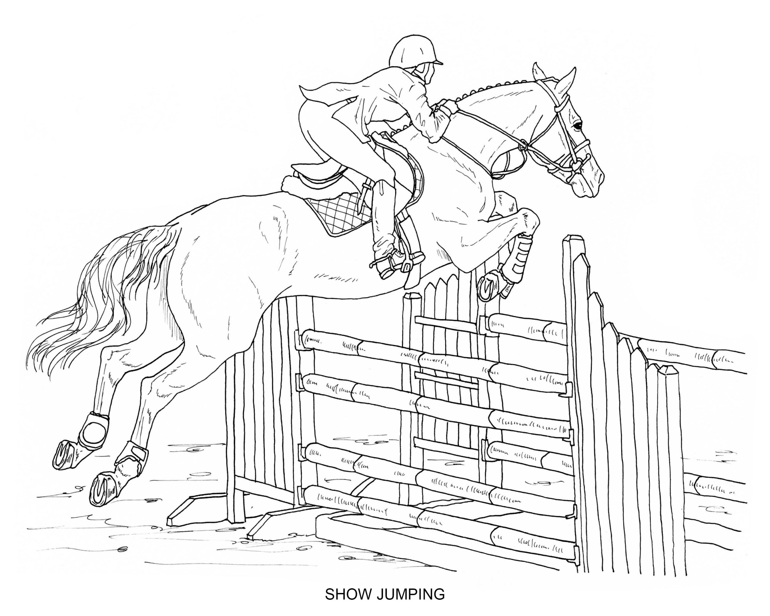 coloring pages of horses