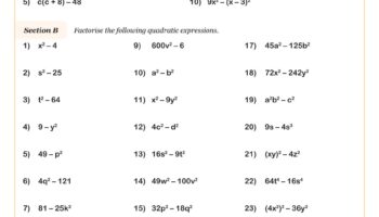 Factoring Quadratic Expressions Worksheet Fun And Engaging Algebra I PDF Worksheets
