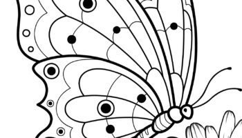 Free Butterfly Coloring Pages To Print Crafty Morning