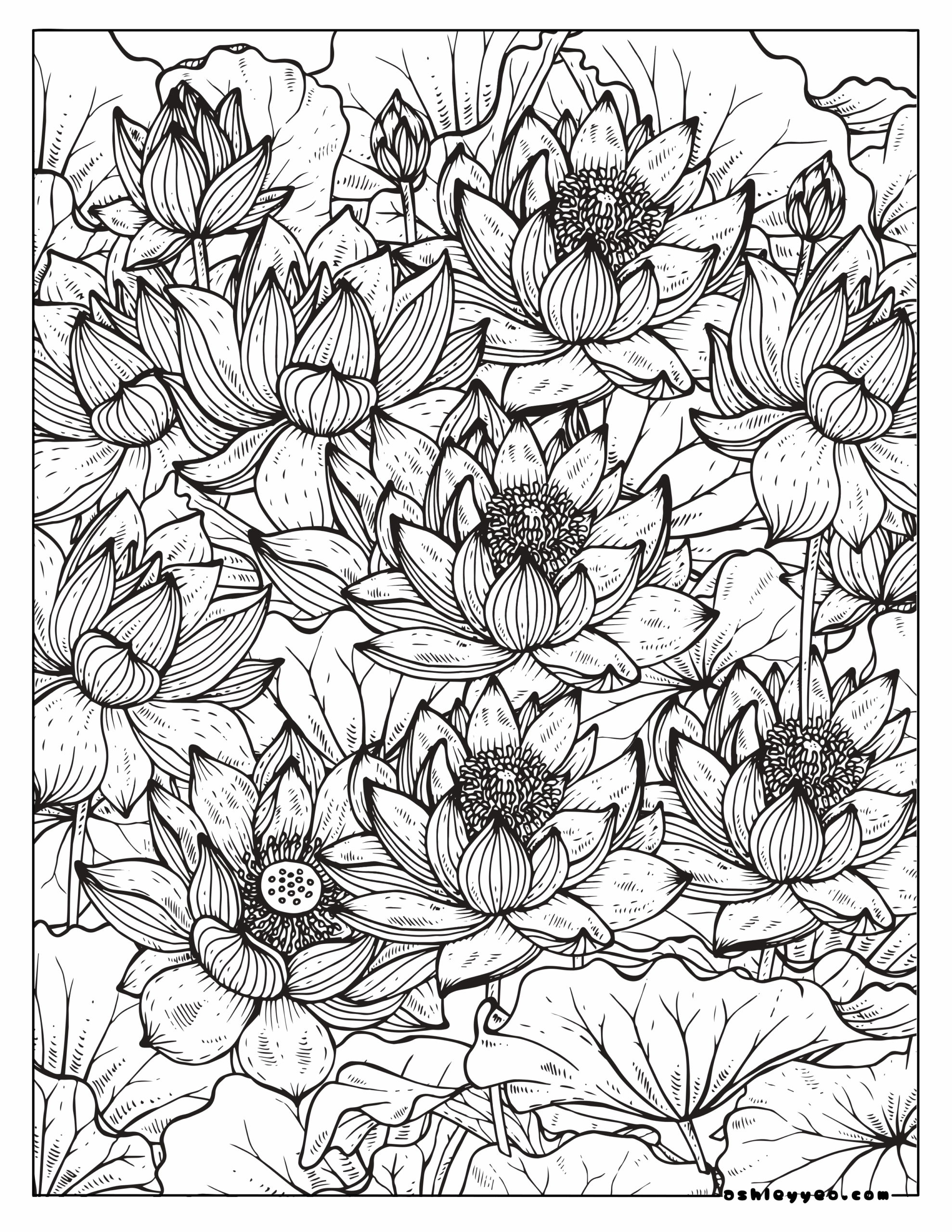 Free Coloring Pages For Teens Engaging And Creative Designs Ashley Yeo