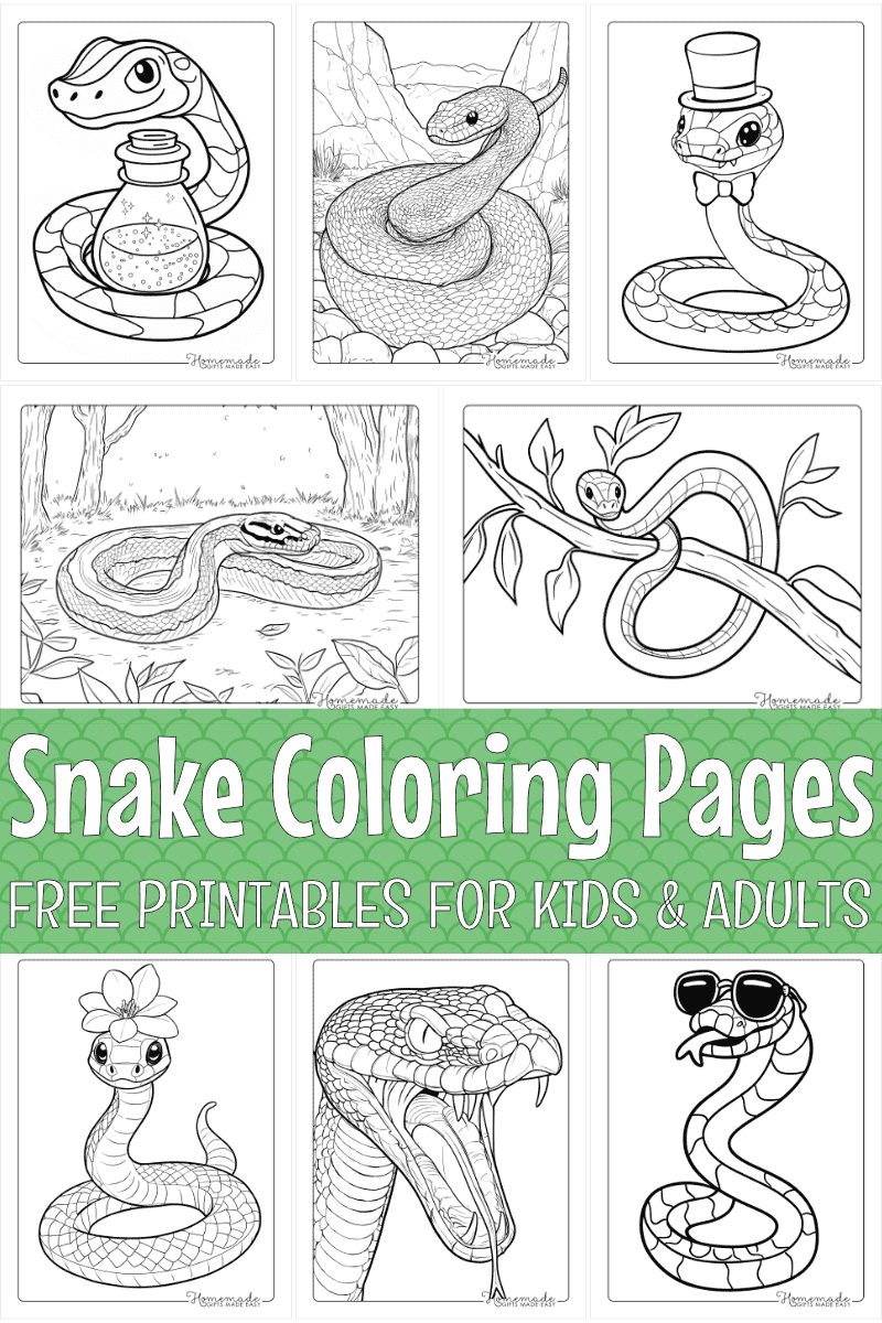 Free Snake Coloring Pages For Kids And Adults PDF Printables  Free Snake Coloring Pages For Kids And Adults PDF Printables