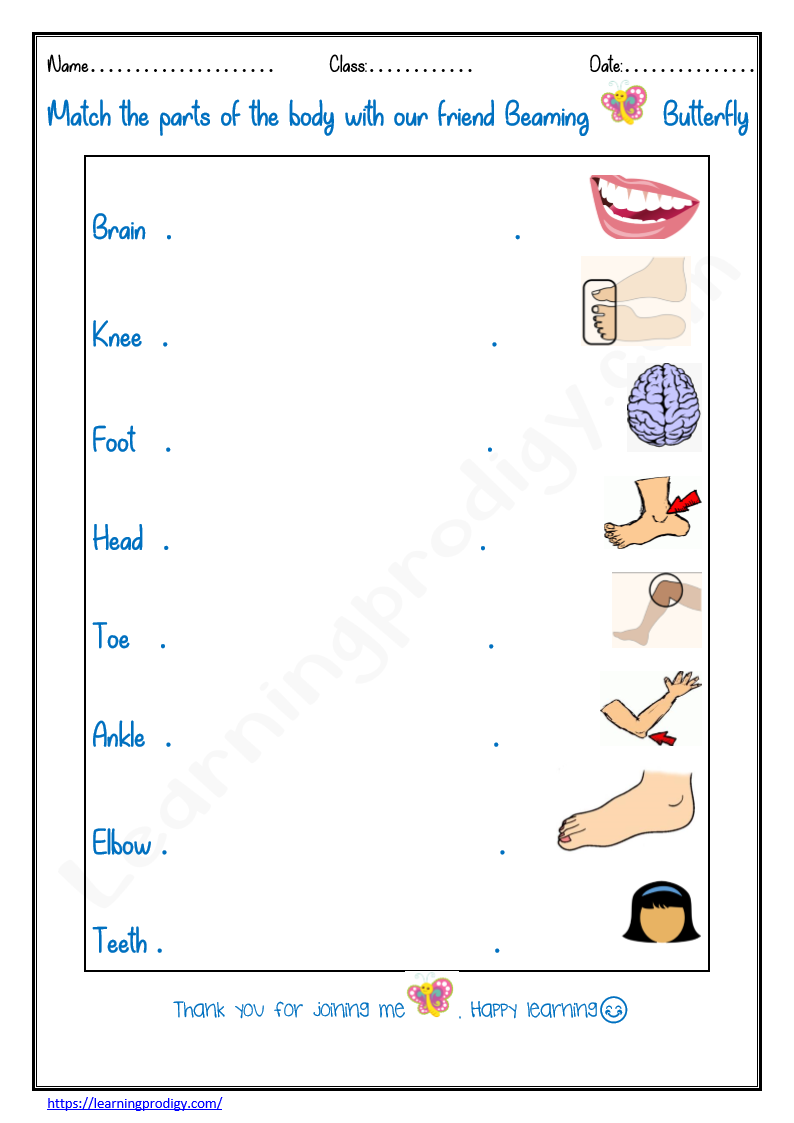 Freeprintable Science Worksheet For Grade 1 Archives LearningProdigy