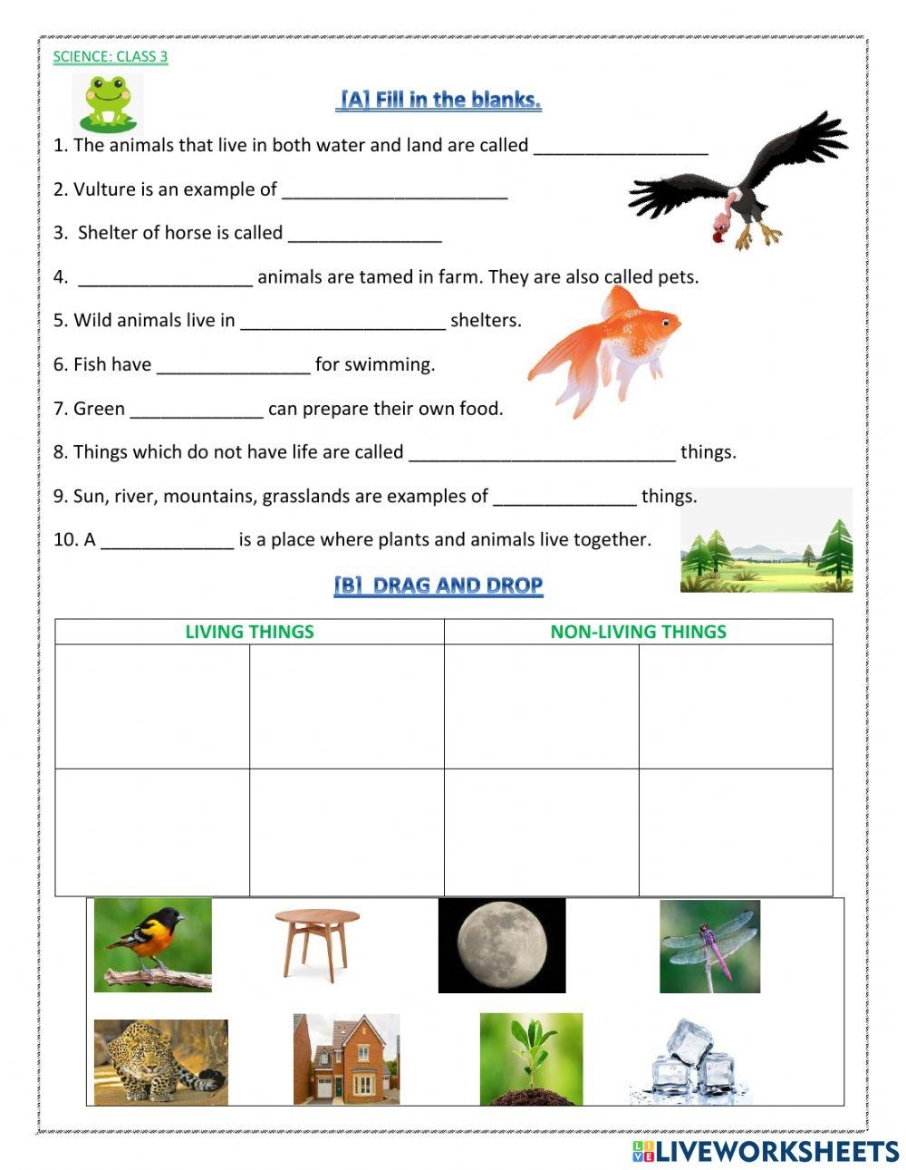 Fun 3rd Grade Science Worksheet Exploring Animals