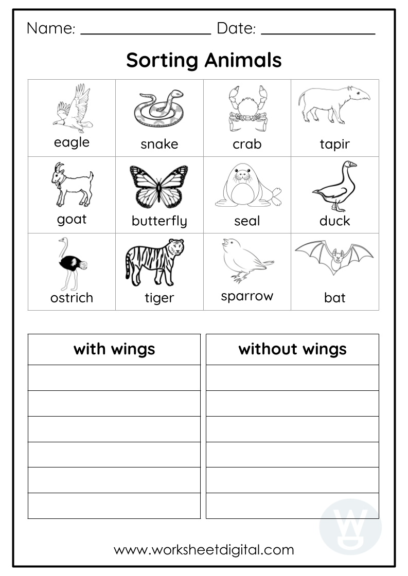 2nd grade science worksheets