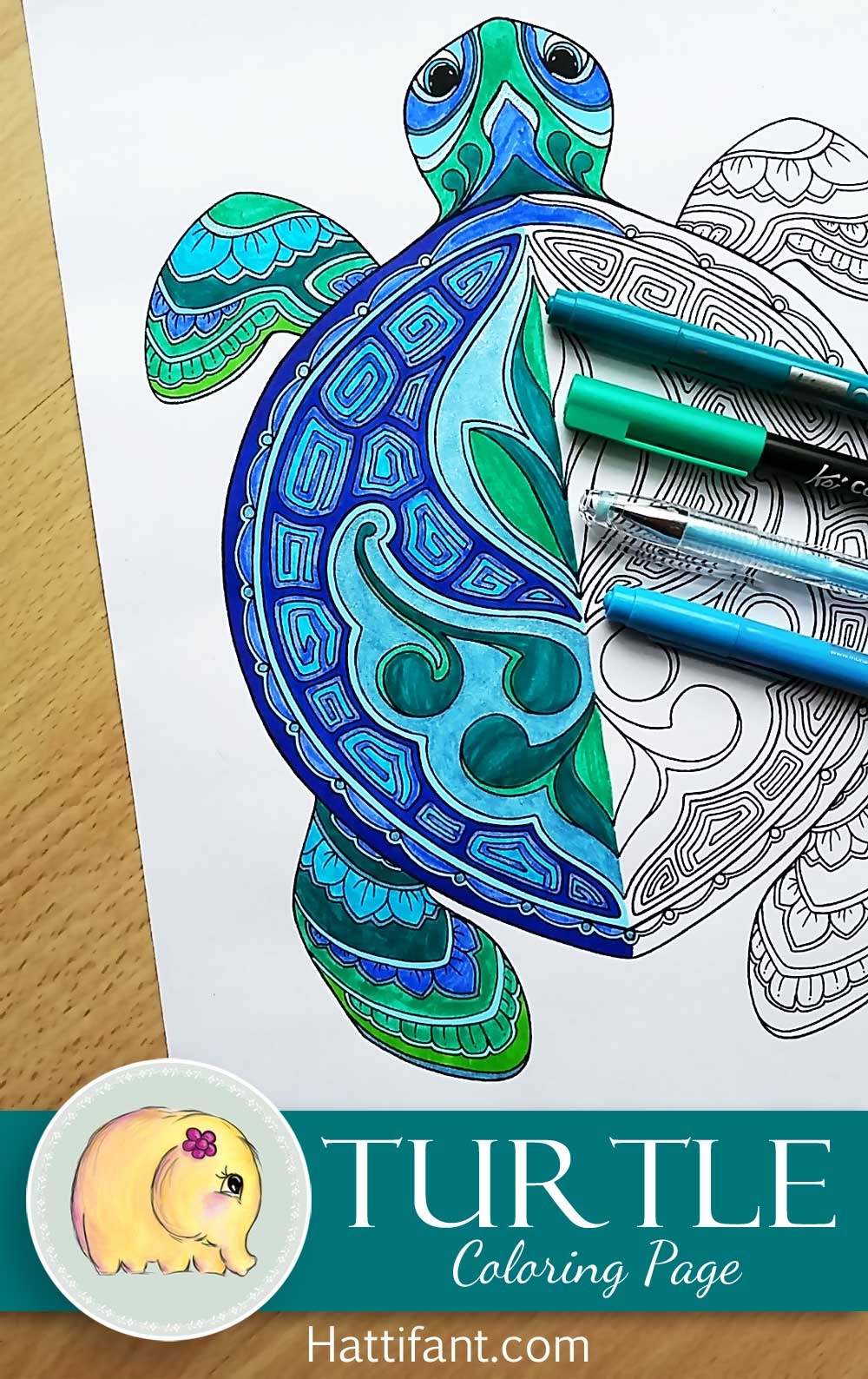 turtle coloring page