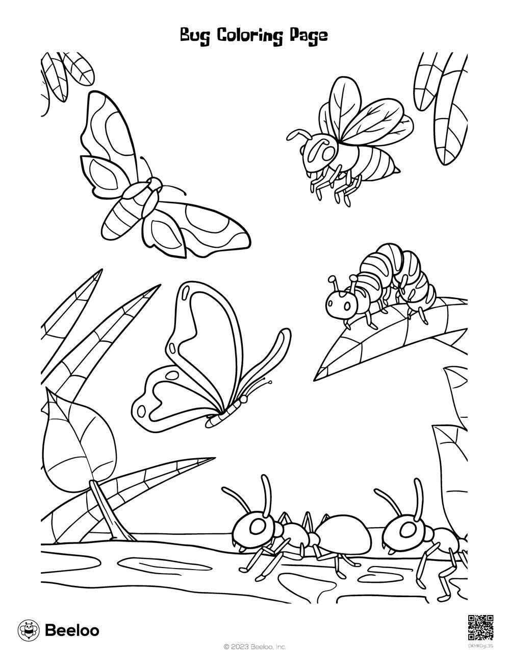 bug coloring pages
