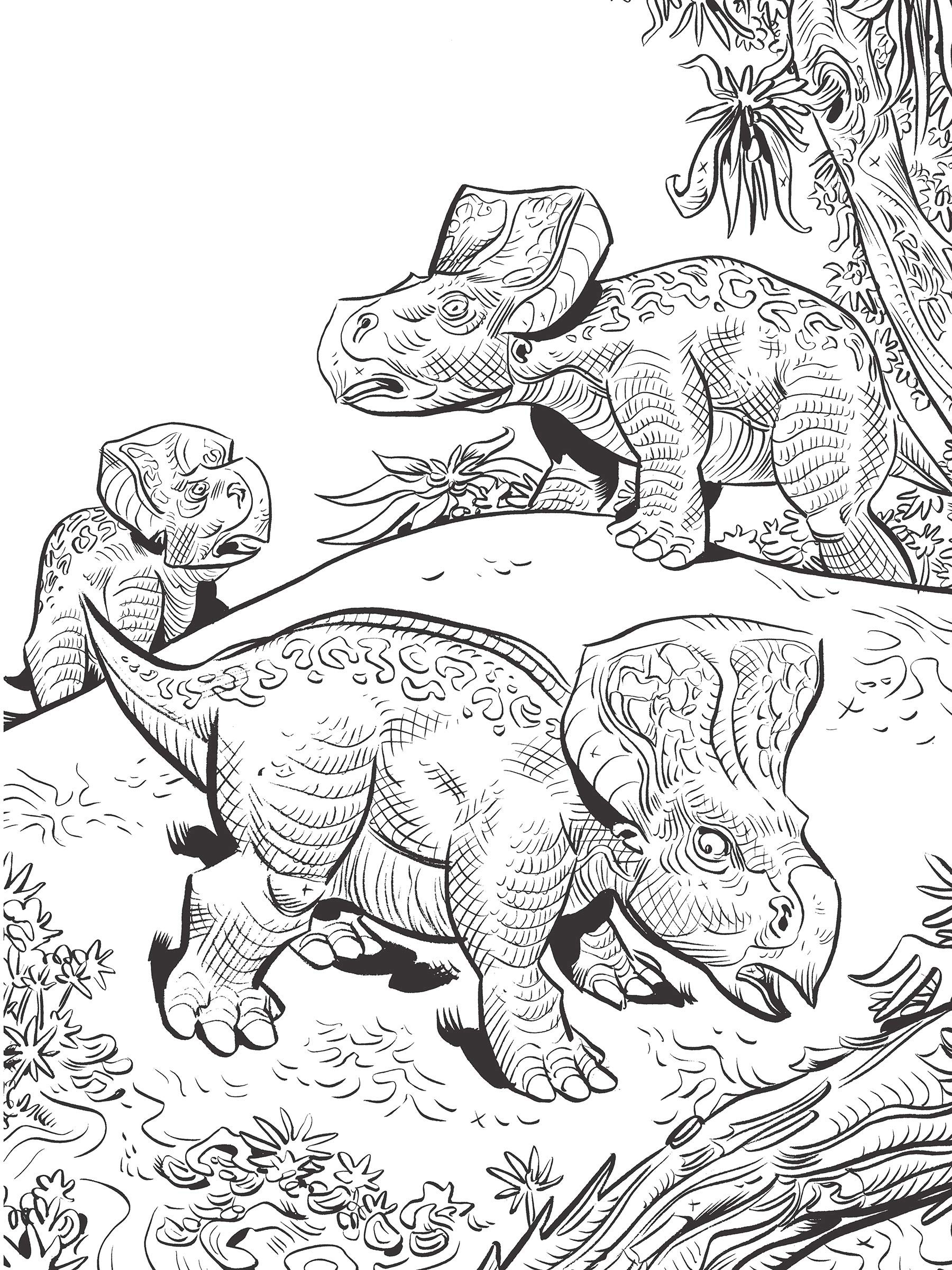 Jim Lawson s Dinosaurs Coloring Book A2Z Science Learning Toy Store