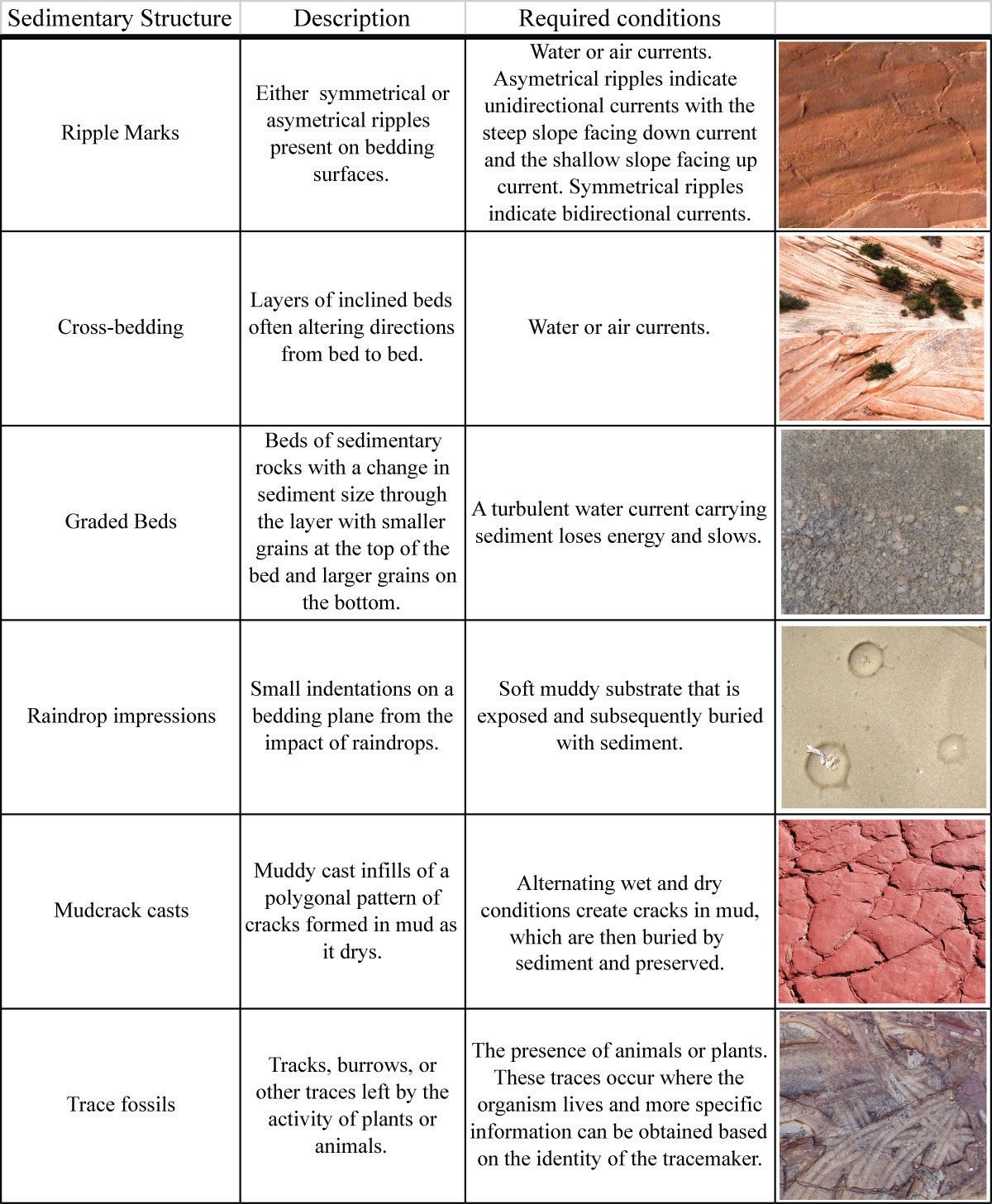 Lab 4 Reading Sedimentary Rocks Earth And Our Environment Laboratory Manual