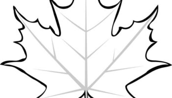 Leaf Printable Coloring Pages HubPages