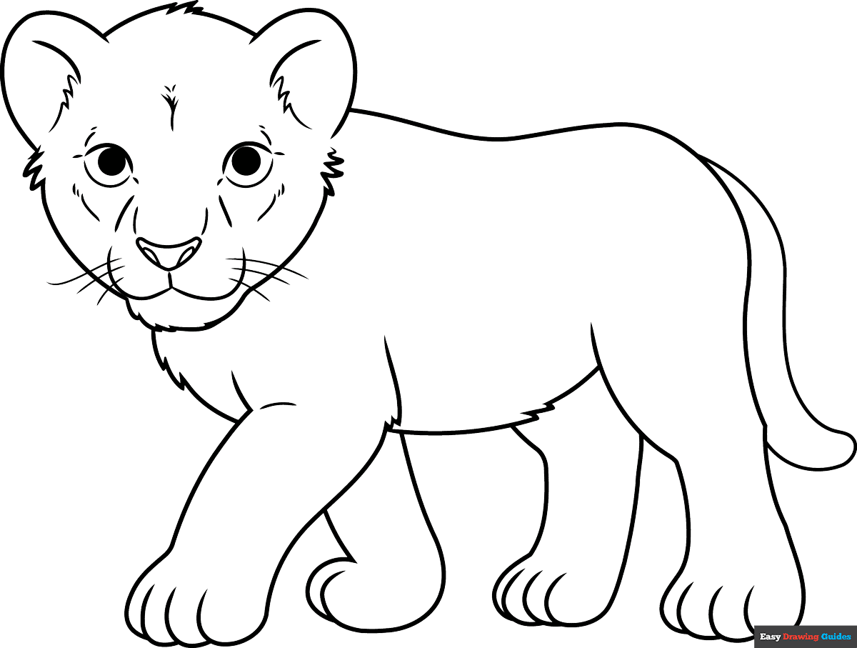lion coloring page lion coloring page