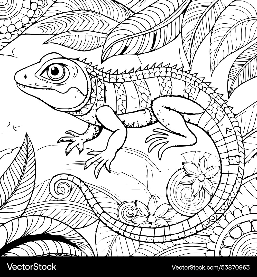 Lizard Coloring Page Design Royalty Free Vector Image Lizard Coloring Page Design Royalty Free Vector Image