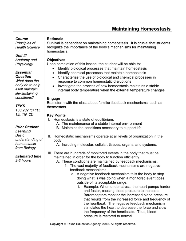 Maintaining Homeostasis