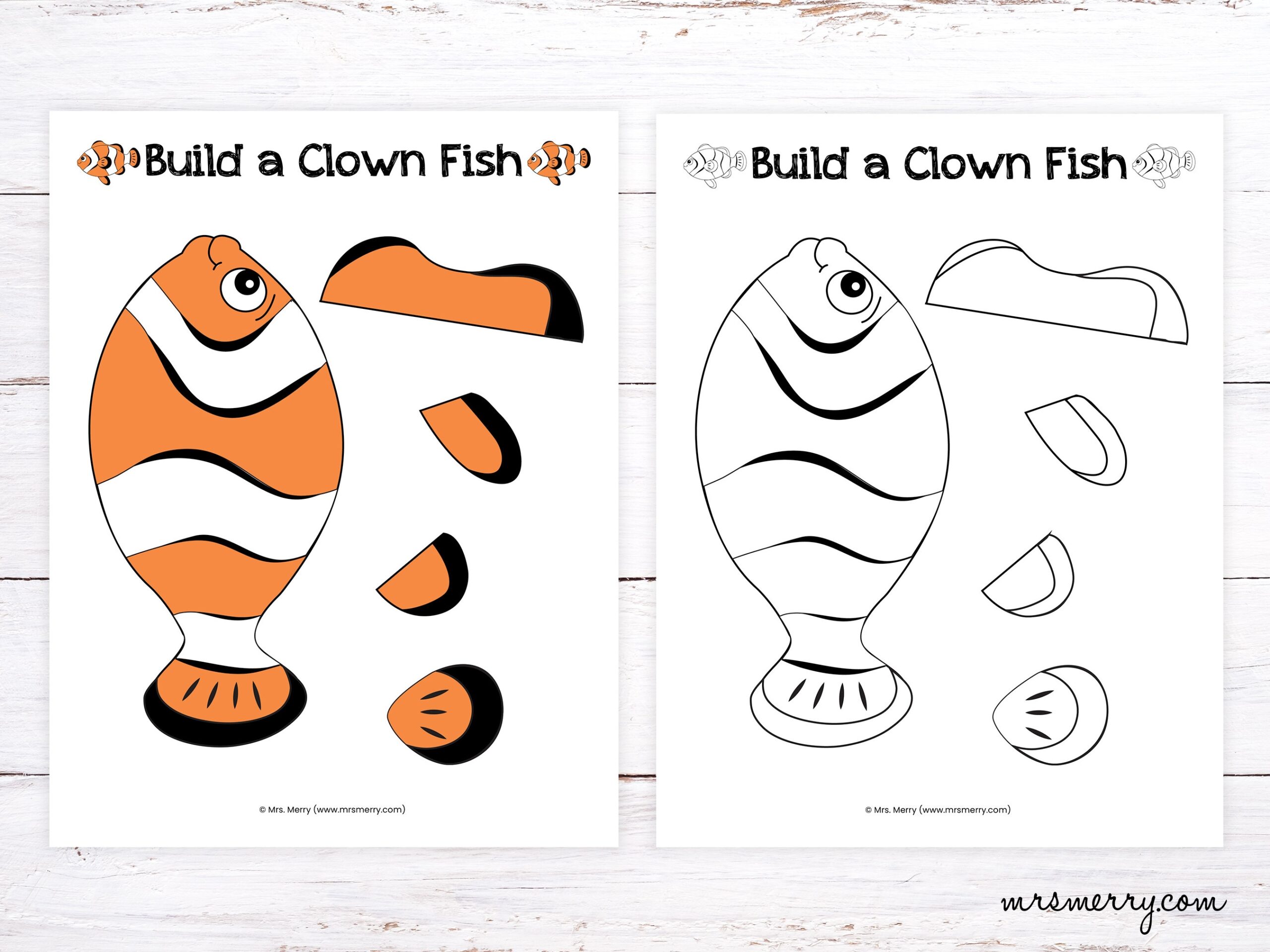 clownfish parts worksheet
