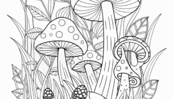 Mushroom Fantasy Forest Coloring Page Free Printable