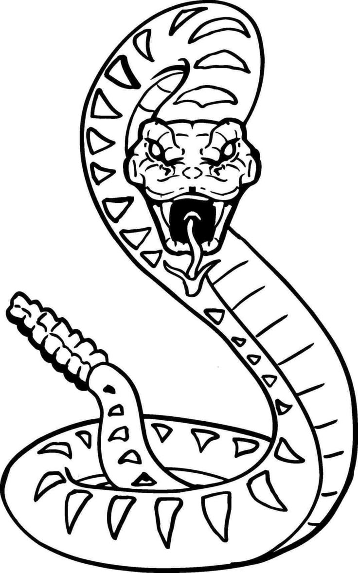 Pin By Momo On A Inspiration Tatts In 2025 Snake Coloring Pages Snake Drawing Printable Pin By Momo On A Inspiration Tatts In 2025 Snake Coloring Pages Snake Drawing Printable