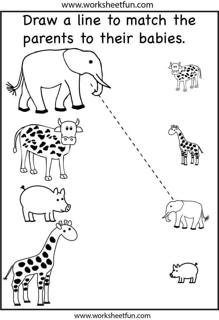 preschool worksheet printouts