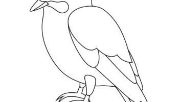 Printable Bird Colouring Pages For Your Child