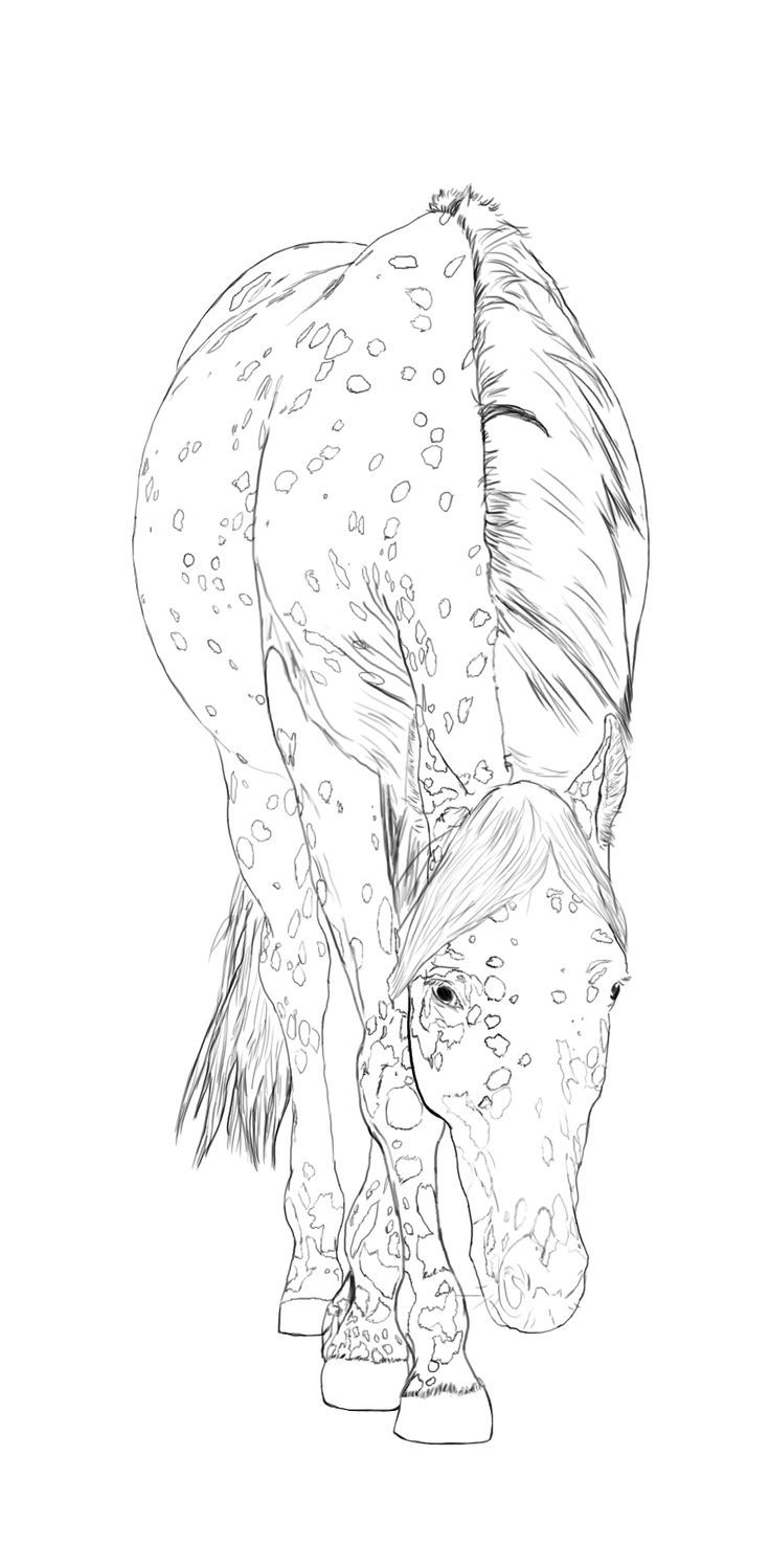 Printable Coloring Pages FREE