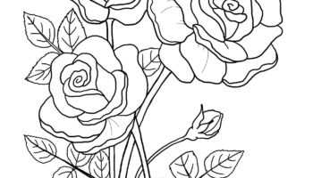 Printable Floral Coloring Sheets Coloring Pages Adult Coloring Pages Kids Coloring Pages Coloring Flowers Etsy