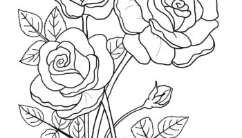 Printable Floral Coloring Sheets Coloring Pages Adult Coloring Pages Kids Coloring Pages Coloring Flowers Etsy