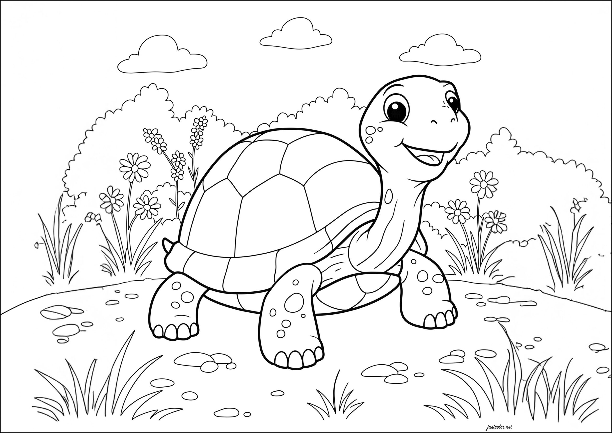 Smiling Turtle Turtle Coloring Pages