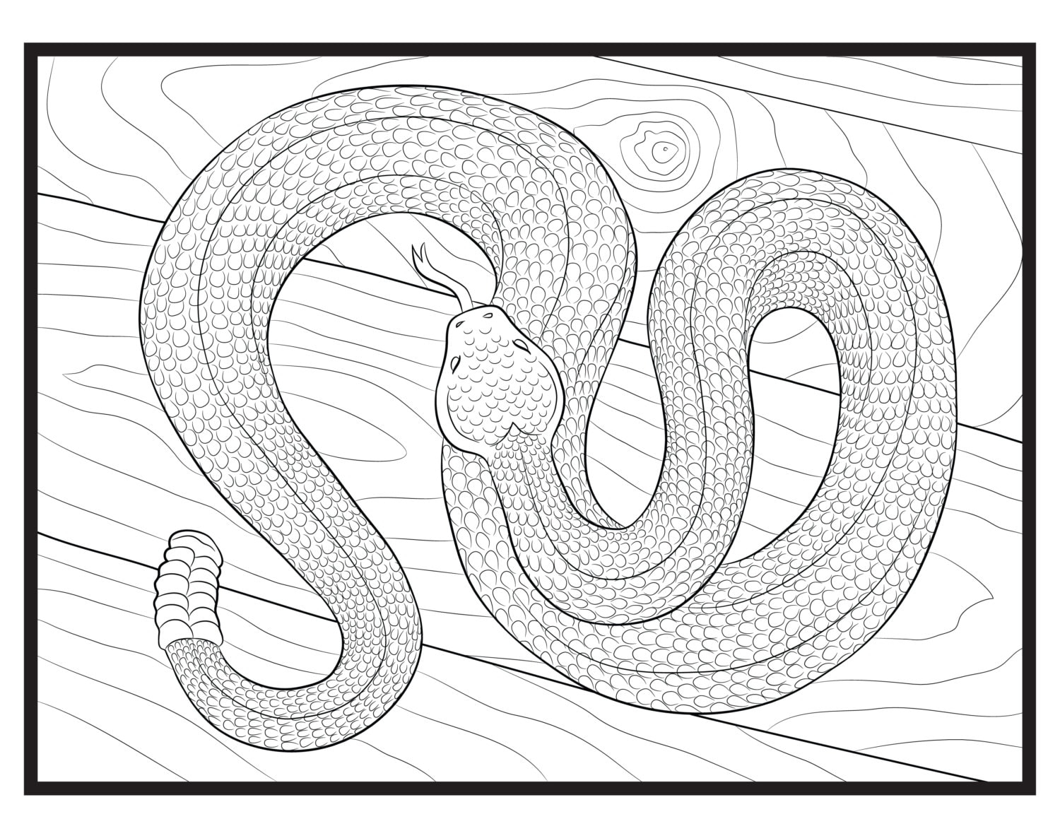 snake coloring page snake coloring page