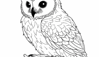 Snowy Owl Coloring Pages Coloring Corner