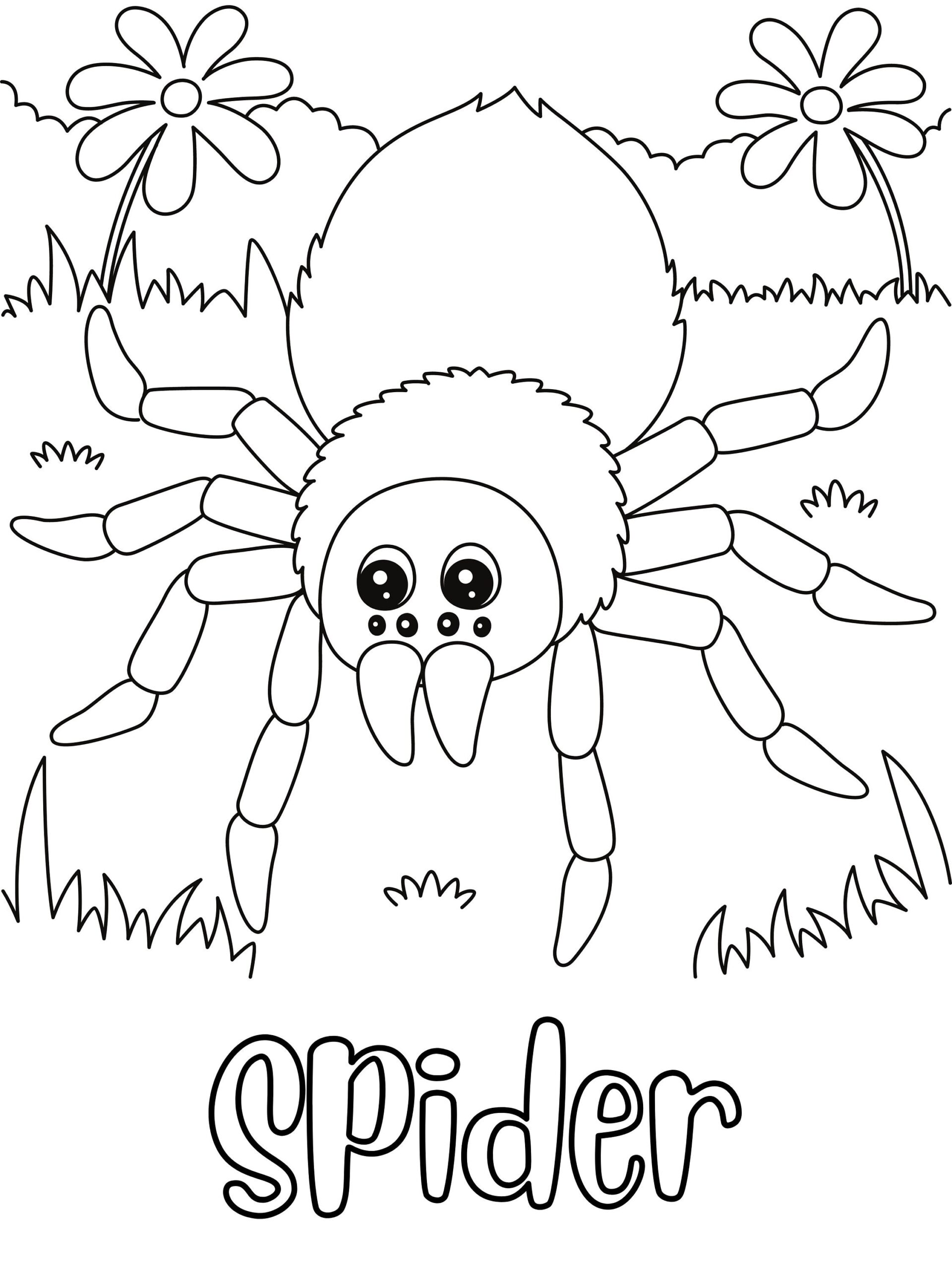 Spider Coloring Page Printable Kids Activity digital Download Etsy