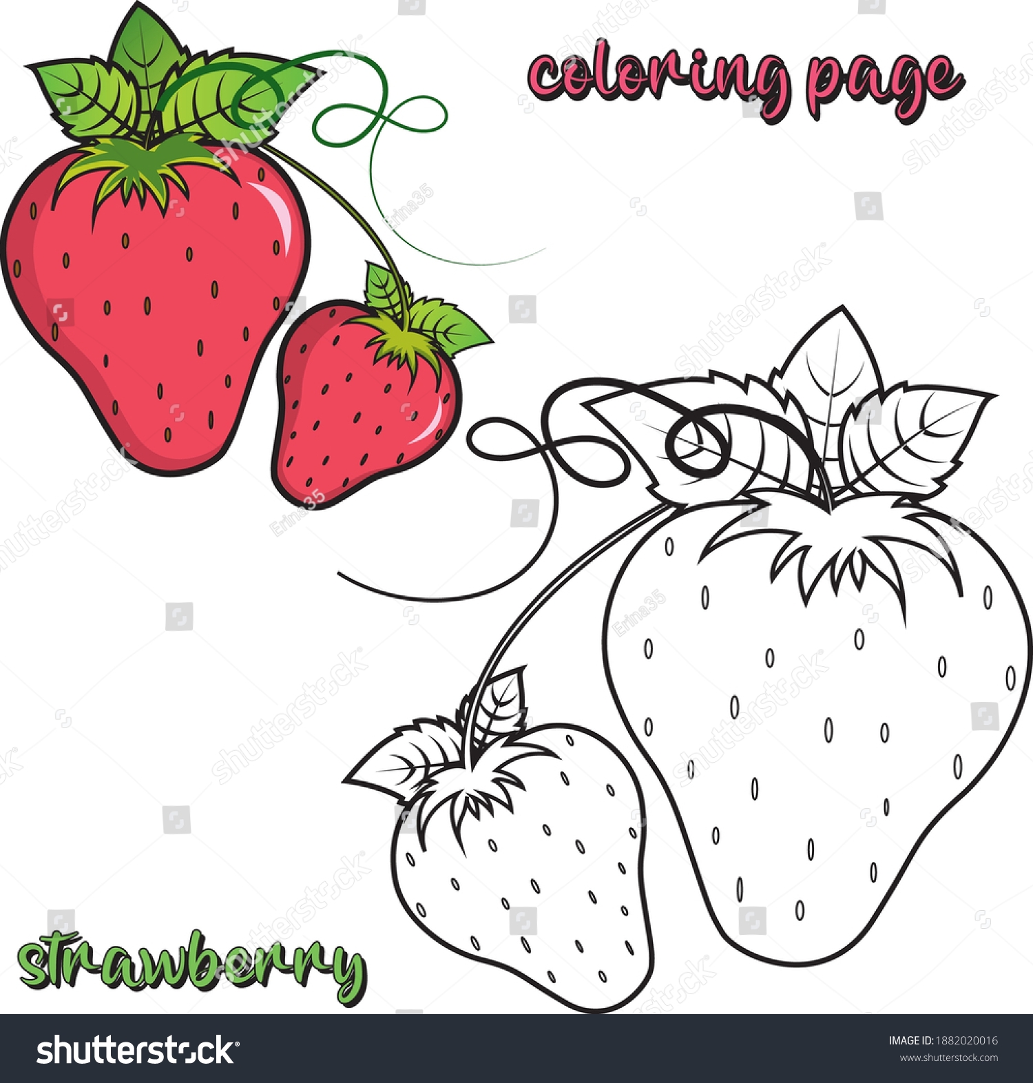 Strawberry Coloring Page Kids Fruit Vector Stock Vector Royalty Free 1882020016 Shutterstock