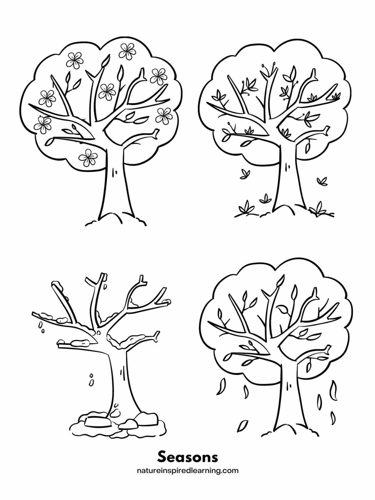 tree coloring pages tree coloring pages
