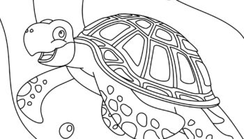 Turtle Coloring Pages Free Printable Sheets For Kids Skip To My Lou